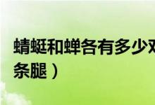 蜻蜓和蝉各有多少对翅膀（蜻蜓和蝉各有多少条腿）