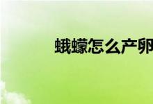 蛾蠓怎么产卵（蛾蠓怎么消灭）