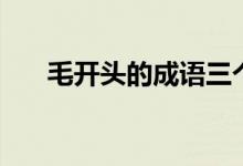 毛开头的成语三个字（毛开头的成语）