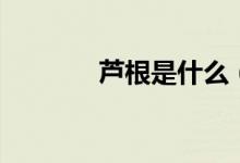 芦根是什么（芦根详细介绍）