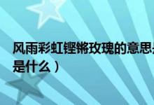 风雨彩虹铿锵玫瑰的意思是什么（风雨彩虹铿锵玫瑰的意思是什么）