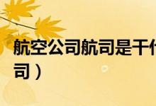 航空公司航司是干什么的（奶航是哪个航空公司）