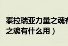泰拉瑞亚力量之魂有什么作用（泰拉瑞亚力量之魂有什么用）