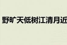 野旷天低树江清月近人的意思（原文及译文）
