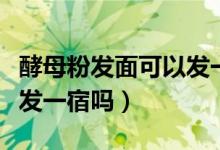 酵母粉发面可以发一晚上吗(酵母粉发面可以发一宿吗)