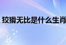 狡猾无比是什么生肖（狡猾无比是什么生肖）