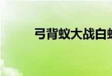 弓背蚁大战白蚁（弓背蚁的特点）