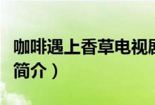 咖啡遇上香草电视剧结局（咖啡遇上香草剧情简介）