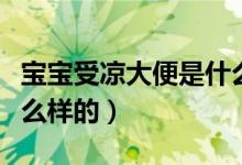 宝宝受凉大便是什么颜色（宝宝受凉大便是什么样的）