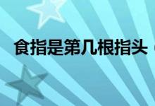 食指是第几根指头（食指是第几根手指头）