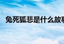 兔死狐悲是什么故事（兔死狐悲故事介绍）