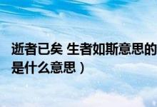 逝者已矣 生者如斯意思的斯是什么意思（逝者已矣生者如斯是什么意思）