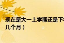 现在是大一上学期还是下学期（大一上学期和下学期分别是几个月）