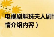 电视剧斛珠夫人剧情介绍（电视剧斛珠夫人剧情介绍内容）