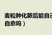 麦粒肿化脓后能自己排脓吗（麦粒肿化脓后能自愈吗）