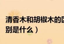 清香木和胡椒木的区别（清香木和胡椒木的区别是什么）