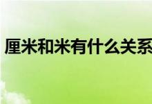 厘米和米有什么关系（厘米和米有什么差别）