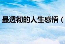 最透彻的人生感悟（最经典的人生感悟说说）