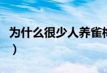 为什么很少人养雀梅（为什么很少人养雪纳瑞）