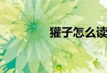 獾子怎么读（如何读獾子）