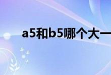 a5和b5哪个大一点（a5和b5哪个大）