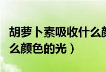 胡萝卜素吸收什么颜色的光（胡萝卜素吸收什么颜色的光）