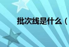 批次线是什么(批次线是什么意思)