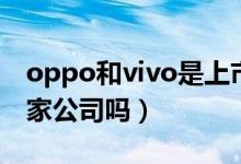 oppo和vivo是上市公司吗（oppovivo是一家公司吗）