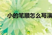 小的笔顺怎么写演示（小的笔顺怎么写）