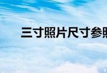 三寸照片尺寸参照图（三寸照片尺寸）