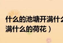 什么的池塘开满什么的荷花呢（什么的池塘开满什么的荷花）