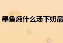 墨鱼炖什么汤下奶最快（墨鱼炖什么营养好）