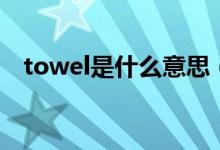 towel是什么意思（英语towel什么意思）