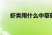 虾类用什么中草药（虾类用什么呼吸）