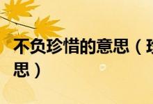 不负珍惜的意思（珍惜所有不负遇见是什么意思）