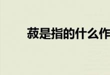 菽是指的什么作物（菽是指什么类）