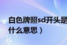 白色牌照sd开头是什么（白色牌照sd开头是什么意思）