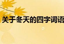 关于冬天的四字词语（描写冬天的四字词语）