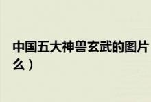 中国五大神兽玄武的图片（中国古代四大神兽玄武背上是什么）