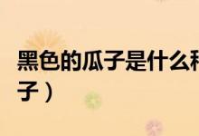 黑色的瓜子是什么种子（黑色的瓜子是什么瓜子）