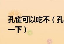孔雀可以吃不（孔雀可以吃吗 大家可以认识一下）