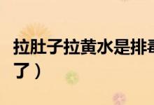 拉肚子拉黄水是排毒吗（拉肚子拉黄水是怎么了）