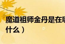 魔道祖师金丹是在哪个部位（魔道祖师金丹是什么）