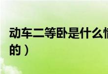 动车二等卧是什么情况（动车二等卧是什么样的）