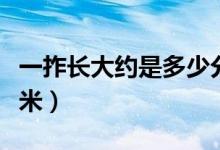 一拃长大约是多少分米（一拃长大约是多少分米）