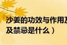 沙姜的功效与作用及禁忌（沙姜的功效与作用及禁忌是什么）