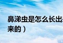 鼻涕虫是怎么长出来的?（鼻涕虫是怎么长出来的）