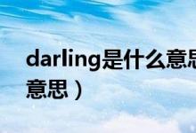 darling是什么意思中文（英语darling什么意思）