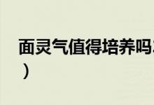 面灵气值得培养吗2019（面灵气值得培养吗）