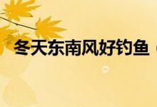 冬天东南风好钓鱼（冬天东南风好钓鱼吗）